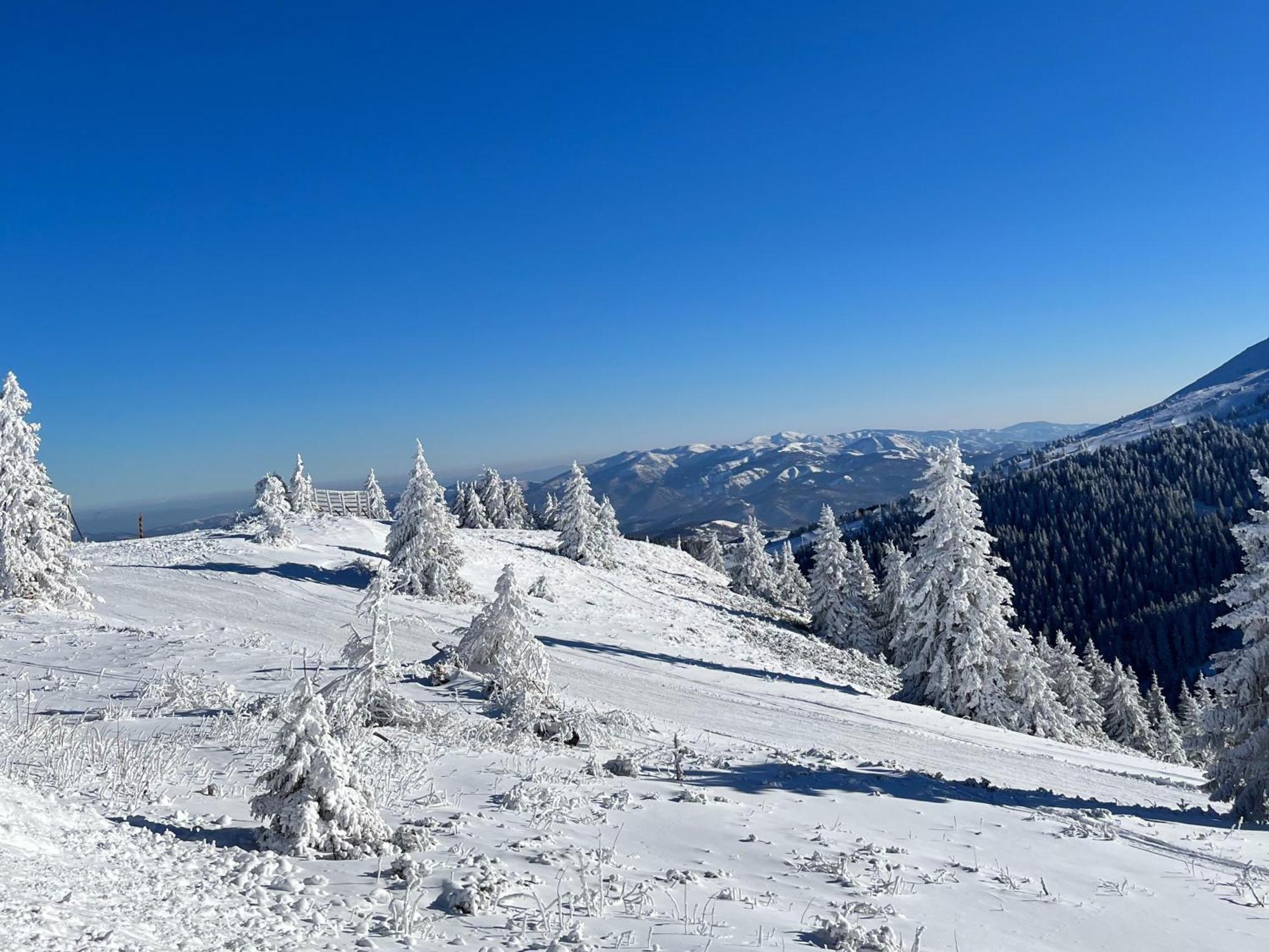 Hotel Junior Kopaonik Eksteriør billede